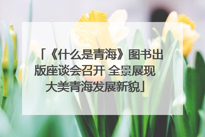 《什么是青海》图书出版座谈会召开 全景展现大美青海发展新貌