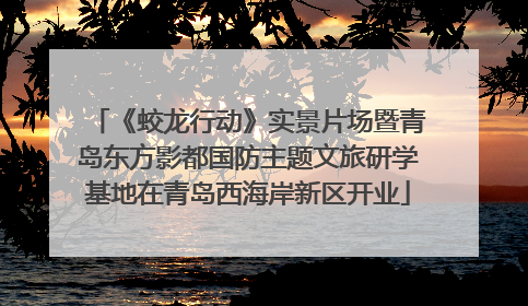 《蛟龙行动》实景片场暨青岛东方影都国防主题文旅研学基地在青岛西海岸新区开业