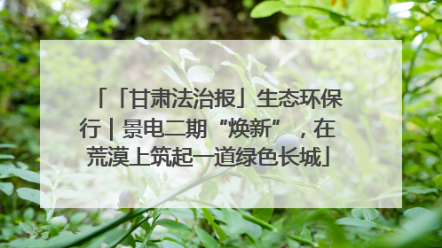 「甘肃法治报」生态环保行｜景电二期“焕新”，在荒漠上筑起一道绿色长城