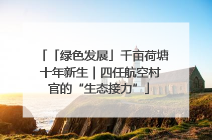 「绿色发展」千亩荷塘 十年新生｜四任航空村官的“生态接力”