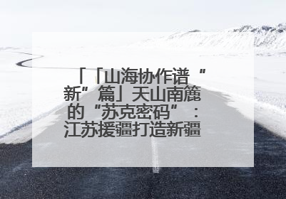 「山海协作谱“新”篇」天山南簏的“苏克密码”：江苏援疆打造新疆克州制造新引擎
