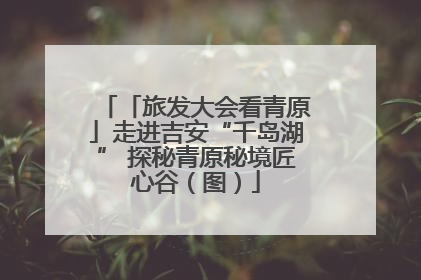 「旅发大会看青原」走进吉安“千岛湖” 探秘青原秘境匠心谷（图）