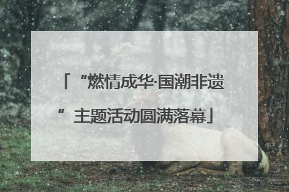 “燃情成华·国潮非遗”主题活动圆满落幕