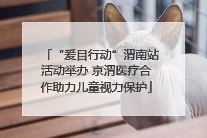 “爱目行动”渭南站活动举办 京渭医疗合作助力儿童视力保护