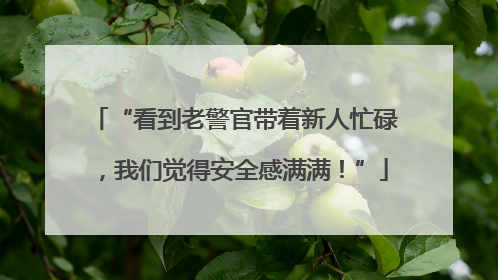 “看到老警官带着新人忙碌，我们觉得安全感满满！”