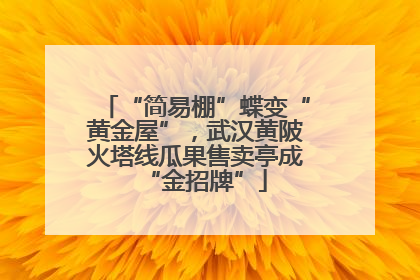 “简易棚”蝶变“黄金屋”，武汉黄陂火塔线瓜果售卖亭成“金招牌”