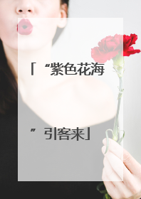 “紫色花海”引客来