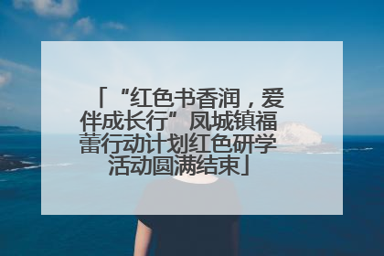 “红色书香润，爱伴成长行”凤城镇福蕾行动计划红色研学活动圆满结束