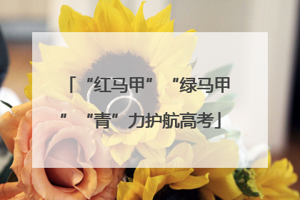 “红马甲”“绿马甲”“青”力护航高考