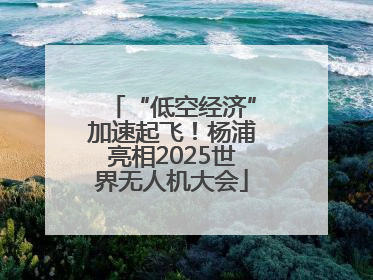“低空经济”加速起飞！杨浦亮相2025世界无人机大会