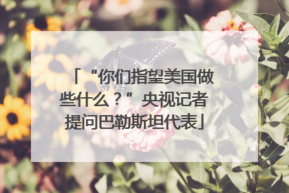 “你们指望美国做些什么？”央视记者提问巴勒斯坦代表