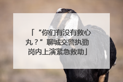 “你们有没有救心丸？”聊城交警执勤岗内上演紧急救助