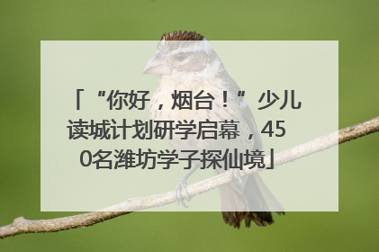 “你好，烟台！”少儿读城计划研学启幕，450名潍坊学子探仙境