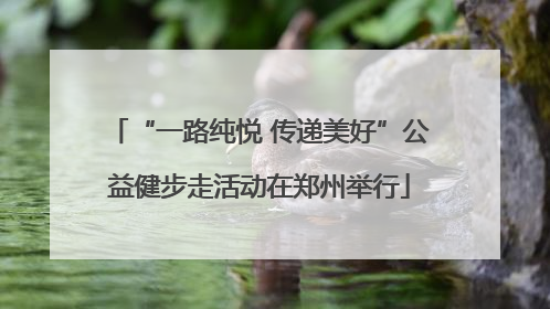 “一路纯悦 传递美好”公益健步走活动在郑州举行