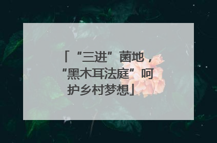 “三进”菌地，“黑木耳法庭”呵护乡村梦想