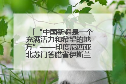 “中国新疆是一个充满活力和希望的地方”——印度尼西亚北苏门答腊省伊斯兰教代表团参访新疆