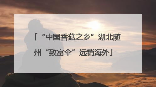“中国香菇之乡”湖北随州“致富伞”远销海外