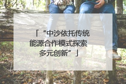 “中沙依托传统能源合作模式探索多元创新”