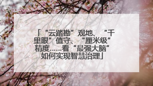 “云踏勘”观地、“千里眼”值守、“厘米级”精度……看“最强大脑”如何实现智慧治理