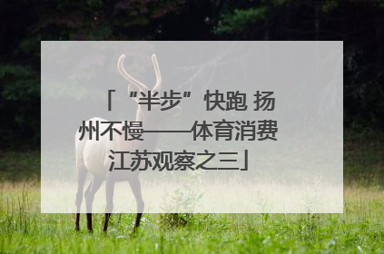 “半步”快跑 扬州不慢——体育消费江苏观察之三