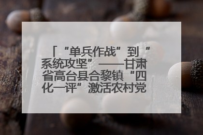 “单兵作战”到“系统攻坚”——甘肃省高台县合黎镇“四化一评”激活农村党员管理新引擎