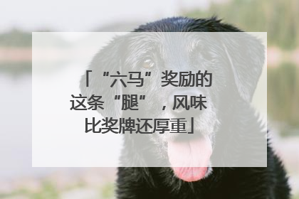 “六马”奖励的这条“腿”，风味比奖牌还厚重
