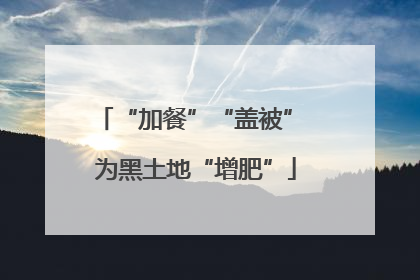 “加餐”“盖被” 为黑土地“增肥”