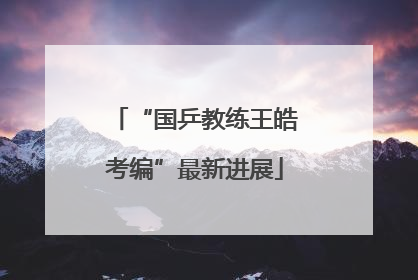 “国乒教练王皓考编”最新进展