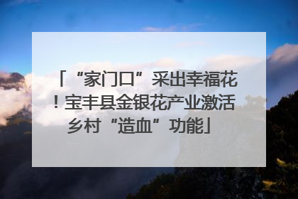 “家门口”采出幸福花！宝丰县金银花产业激活乡村“造血”功能