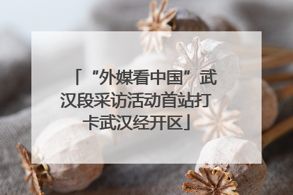 “外媒看中国”武汉段采访活动首站打卡武汉经开区