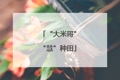 “大米哥”“慧”种田