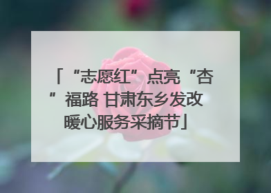 “志愿红”点亮“杏”福路 甘肃东乡发改暖心服务采摘节