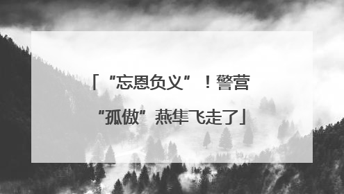 “忘恩负义”！警营“孤傲”燕隼飞走了