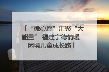 “微心愿”汇聚“大能量” 福建宁德情暖困境儿童成长路