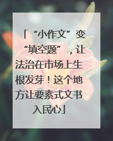“小作文”变“填空题”，让法治在市场上生根发芽！这个地方让要素式文书入民心