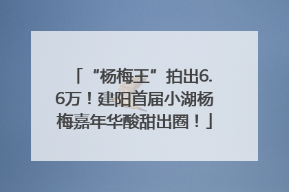 “杨梅王”拍出6.6万！建阳首届小湖杨梅嘉年华酸甜出圈！