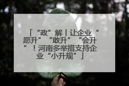 “政”解丨让企业“愿升”“敢升”“会升”！河南多举措支持企业“小升规”