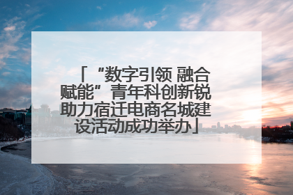 “数字引领 融合赋能”青年科创新锐助力宿迁电商名城建设活动成功举办