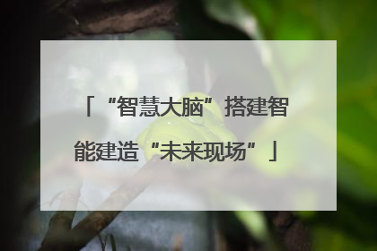 “智慧大脑”搭建智能建造“未来现场”