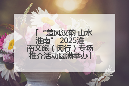 “楚风汉韵 山水淮南” 2025淮南文旅（闵行）专场推介活动圆满举办