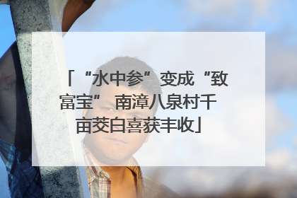 “水中参”变成“致富宝” 南漳八泉村千亩茭白喜获丰收