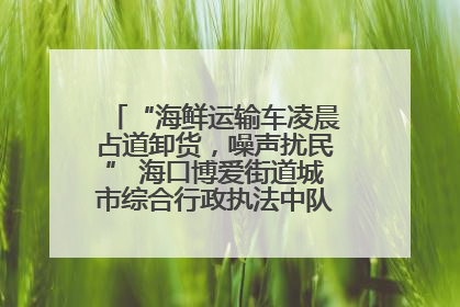 “海鲜运输车凌晨占道卸货，噪声扰民” 海口博爱街道城市综合行政执法中队：将联合交警加强长堤路一带巡逻