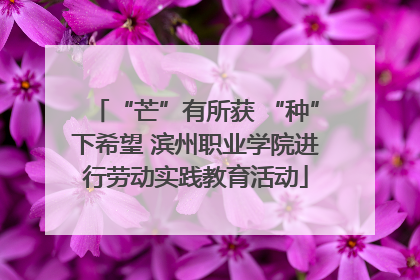 “芒”有所获 “种”下希望 滨州职业学院进行劳动实践教育活动