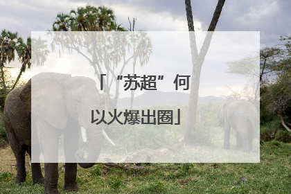 “苏超”何以火爆出圈
