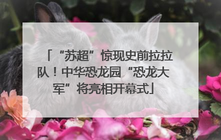 “苏超”惊现史前拉拉队！中华恐龙园“恐龙大军”将亮相开幕式