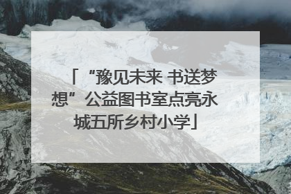 “豫见未来 书送梦想”公益图书室点亮永城五所乡村小学