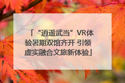 “逍遥武当”VR体验暑期双馆齐开 引领虚实融合文旅新体验