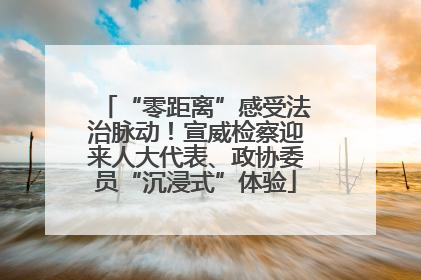 “零距离”感受法治脉动！宣威检察迎来人大代表、政协委员“沉浸式”体验
