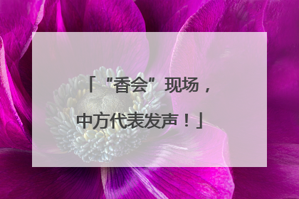 “香会”现场，中方代表发声！