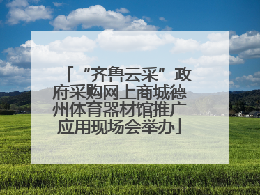 “齐鲁云采”政府采购网上商城德州体育器材馆推广应用现场会举办